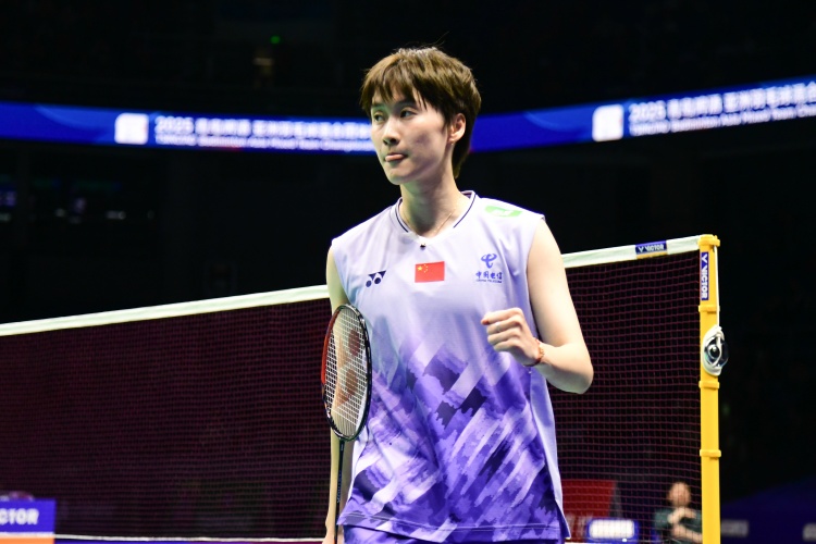 png电子网站奥尔良羽毛球大师赛女单决赛:陈雨菲0-2不敌安洗莹,夺得亚军